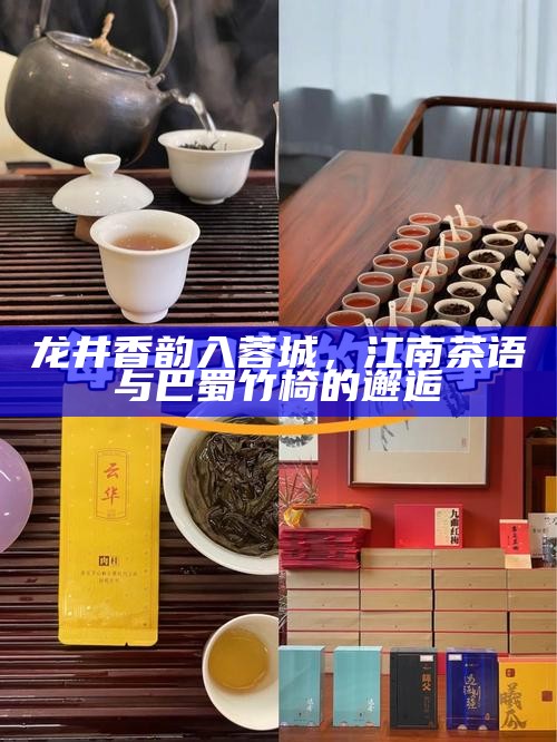 龙井香韵入蓉城,江南茶语与巴蜀竹椅的邂逅