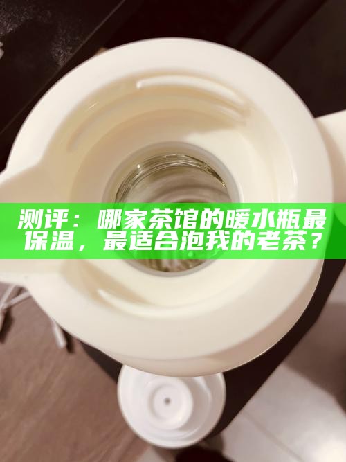 测评：哪家茶馆的暖水瓶最保温，最适合泡我的老茶？