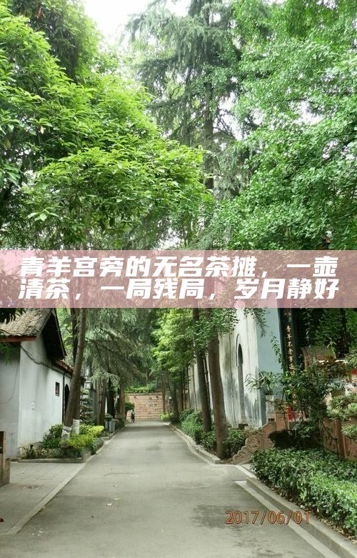 青羊宫旁的无名茶摊,一壶清茶,一局残局,岁月静好