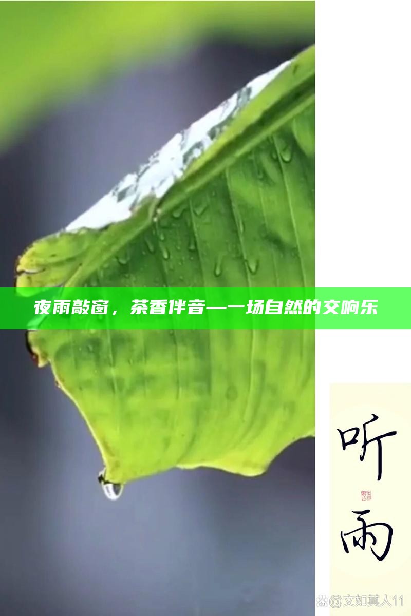 夜雨敲窗，茶香伴音—一场自然的交响乐