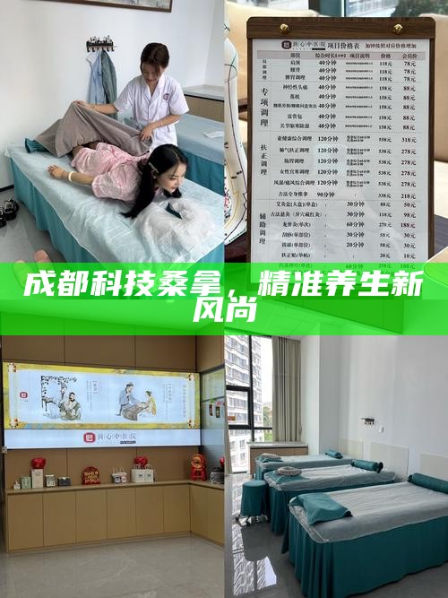 成都科技桑拿，精准养生新风尚